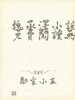 魏承泽小说全文免费阅读无弹窗笔趣