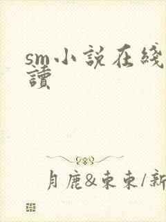 sm小说在线阅读