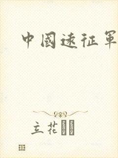 中国远征军小说