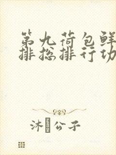 第九荷包鲜辣肉排总排行功能介绍