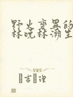 野火变异的父爱林晚林潮生