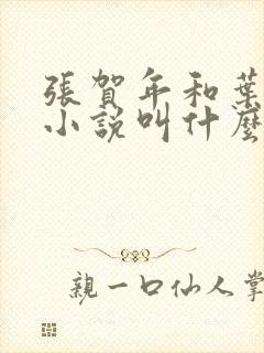 张贺年和叶繁姿小说叫什么名字