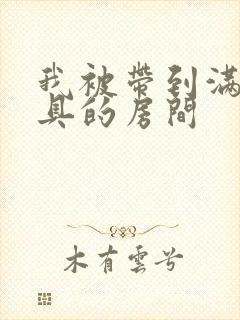 我被带到满是玩具的房间