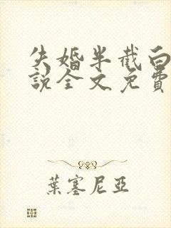 失婚半截白菜小说全文免费阅读