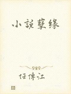 小说孽缘