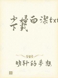 少妇白洁txt下载