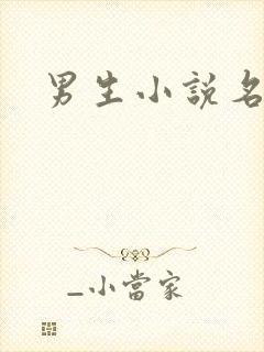 男生小说名字
