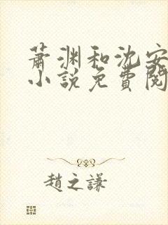 萧渊和沈安安的小说免费阅读