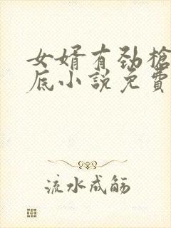 女婿有劲枪枪到底小说免费看