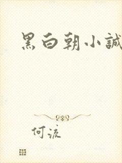 黑白朝小诚