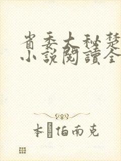 省委大秘楚东恒小说阅读全文