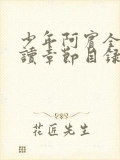 少年阿宾全文阅读章节目录