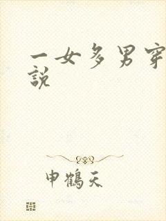 一女多男穿越小说