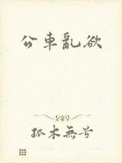 公车乱欲