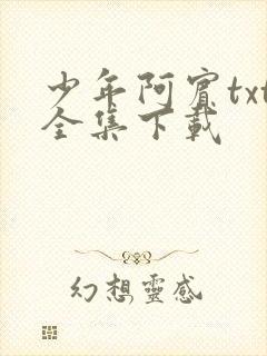少年阿宾txt全集下载