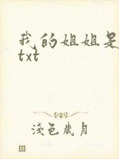 我的姐姐是美女txt