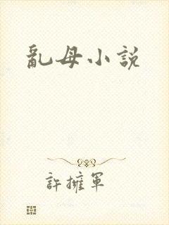 乱母小说