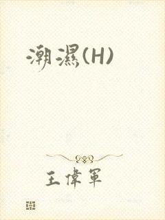 潮湿(H)