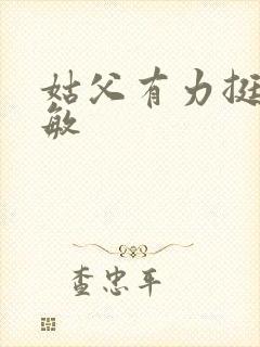 姑父有力挺送赵敏