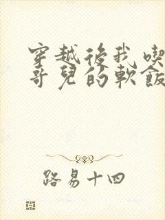 穿越后我吃到了哥儿的软饭炉山灰