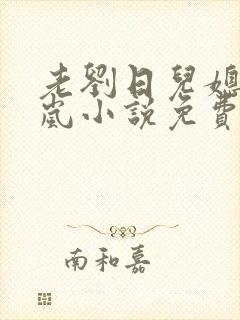 老刘日儿媳妇张岚小说免费阅读