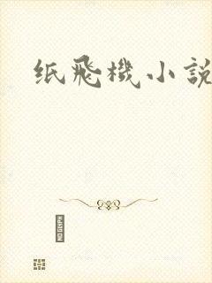 纸飞机小说
