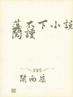 落不下小说免费阅读