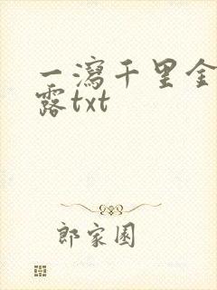 一泻千里金银花露txt