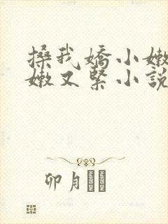 搡我娇小嫩苞又嫩又紧小说