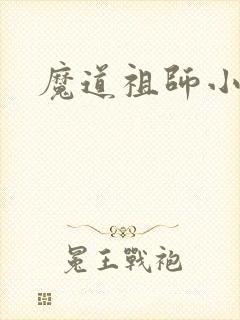 魔道祖师小说