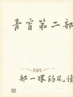 青盲第二部