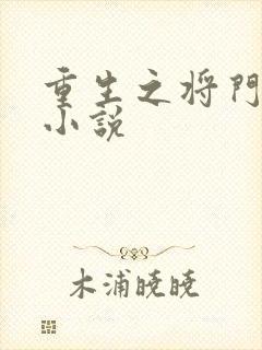重生之将门毒后小说
