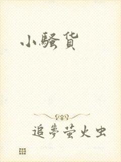 小骚货