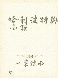 哈利波特与密室小说