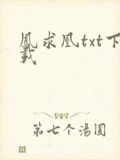 凤求凰txt下载