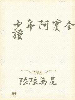 少年阿宾全集阅读