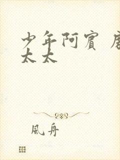 少年阿宾 房东太太