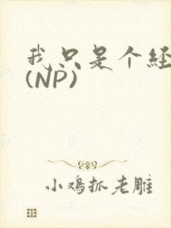 我只是个经纪人(NP)