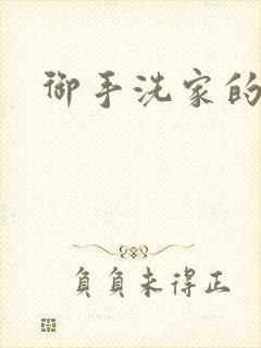 御手洗家的墙洞