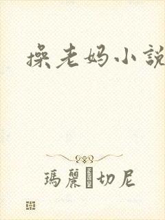 操老妈小说