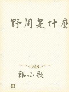 野周是什么意思