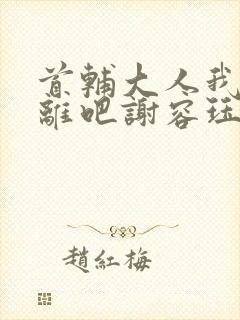 首辅大人我们和离吧谢容珏