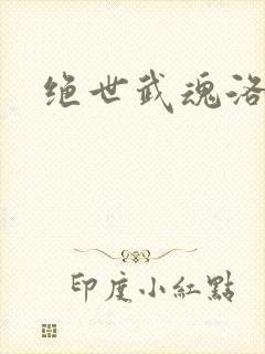 绝世武魂洛城东