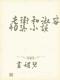 老卫和淑容1-40集小说