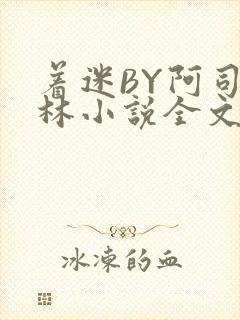 着迷BY阿司匹林小说全文免费阅读