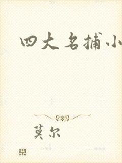 四大名捕小说