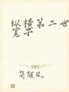 纵横第二世界 宽子