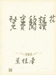 秘密的校花小说免费阅读