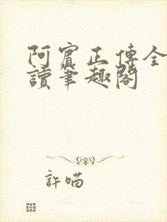 阿宾正传全文阅读笔趣阁