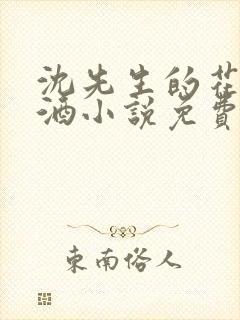 沈先生的花式调酒小说免费阅读